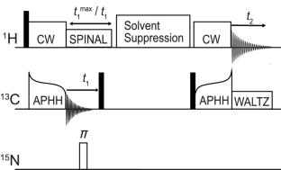 Efficient solvent suppression with adiabatic inversion for 1H-detected solid-state NMR