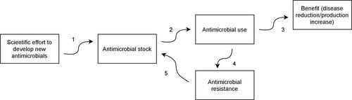 An economic lens to understanding antimicrobial resistance: disruptive cases to livestock and wastewater management in Australia