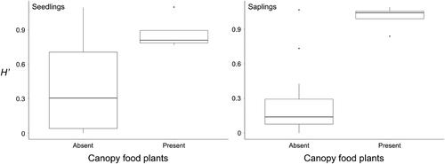 Gardeners of the forest: hornbills govern the spatial distribution of large seeds