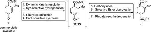 Asymmetric Synthesis of the Cyclohexyl Fragment in RORγt Inhibitor (BMS-986251) Enabled by a Dynamic Kinetic Resolution of Hageman’s Ester