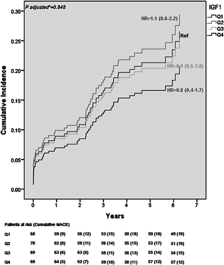 IGF-1 is not related to long-term outcome in hyperglycemic acute coronary syndrome patients.