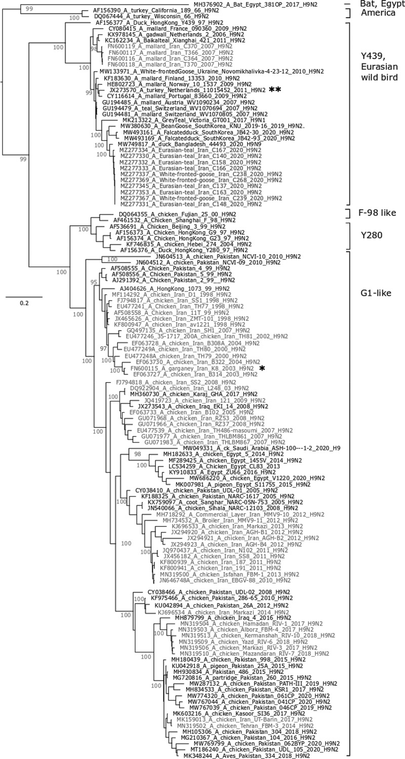Wild bird trade at live poultry markets potentiates risks of avian influenza virus introductions in Iran.