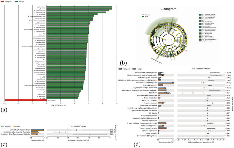 Comparison of the Gut Microbiota in Patients with Benign and Malignant Breast Tumors: A Pilot Study.