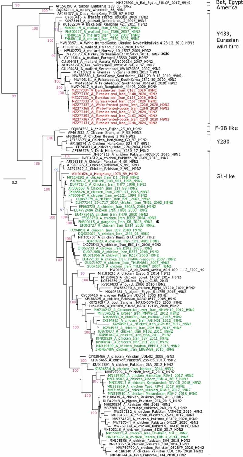 Wild bird trade at live poultry markets potentiates risks of avian influenza virus introductions in Iran.
