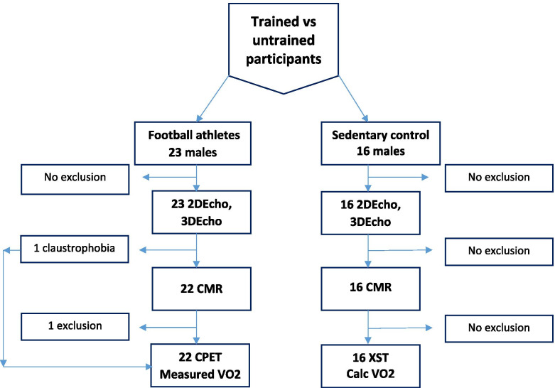 Moderately trained male football players, compared to sedentary male adults, exhibit anatomical but not functional cardiac remodelling, a cross-sectional study.