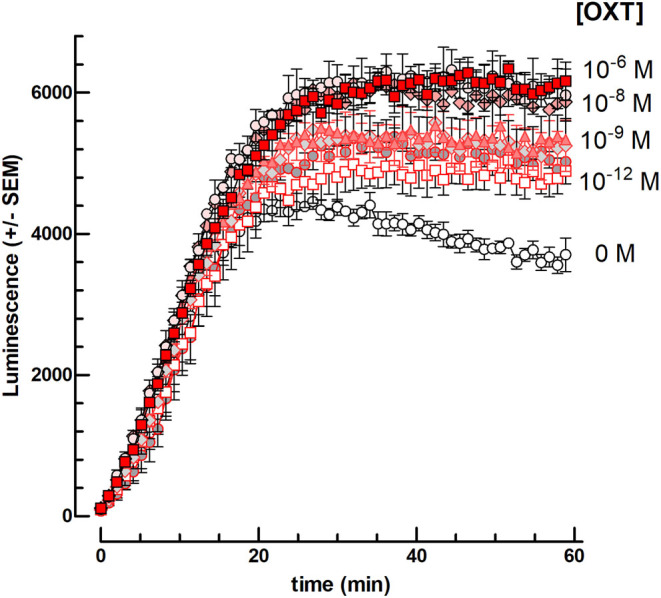 Highly sensitive <i>in vitro</i> bioassay for luteinizing hormone and chorionic gonadotropin allowing their measurement in plasma.