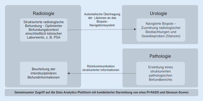 [Current developments in healthcare information technology : Impact on structured reporting].