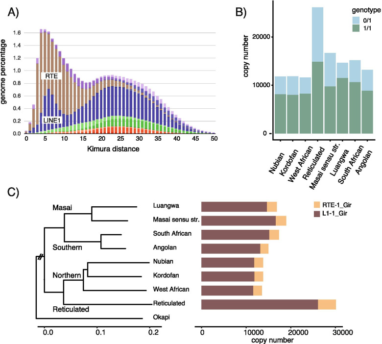 Population analysis of retrotransposons in giraffe genomes supports RTE decline and widespread LINE1 activity in Giraffidae.