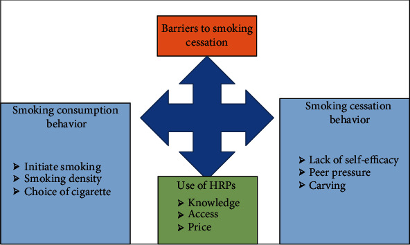 Barriers to Cigarette Smoking Cessation in Pakistan: Evidence from Qualitative Analysis.