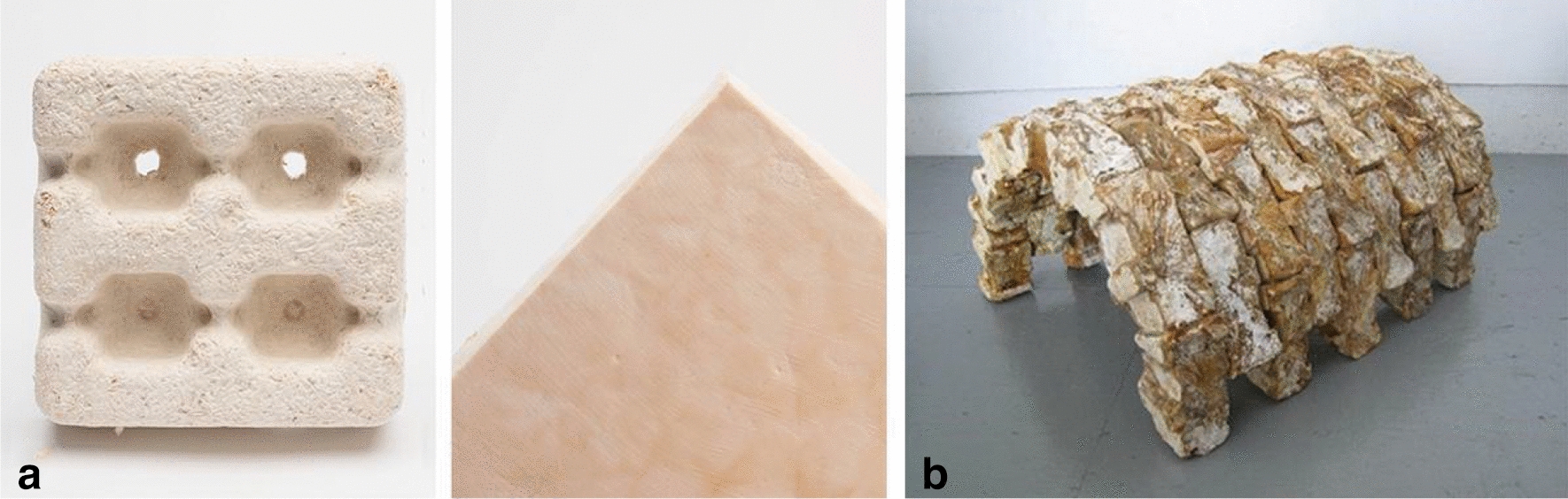 A review on architecture with fungal biomaterials: the desired and the feasible.