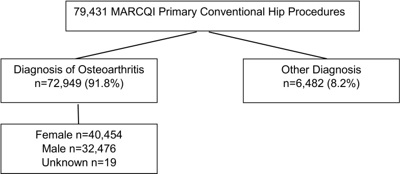 Early Benchmarking Total Hip Arthroplasty Implants Using Data from the Michigan Arthroplasty Registry Collaborative Quality Initiative (MARCQI).