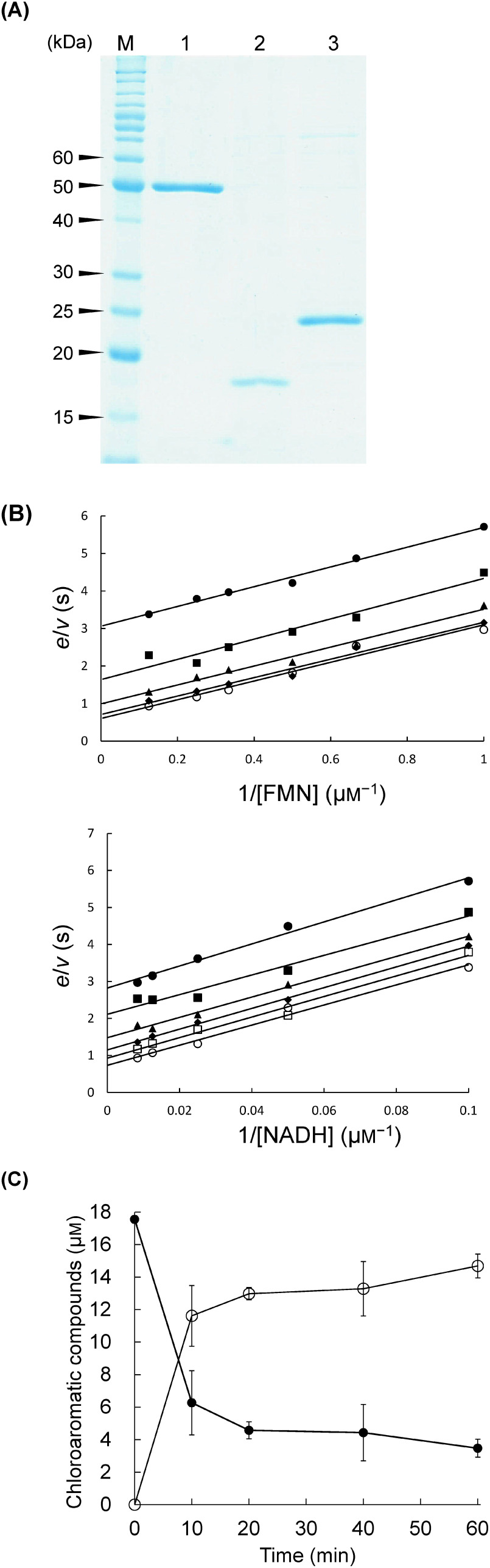 Mechanisms of aerobic dechlorination of hexachlorobenzene and pentachlorophenol by <i>Nocardioides</i> sp. PD653.