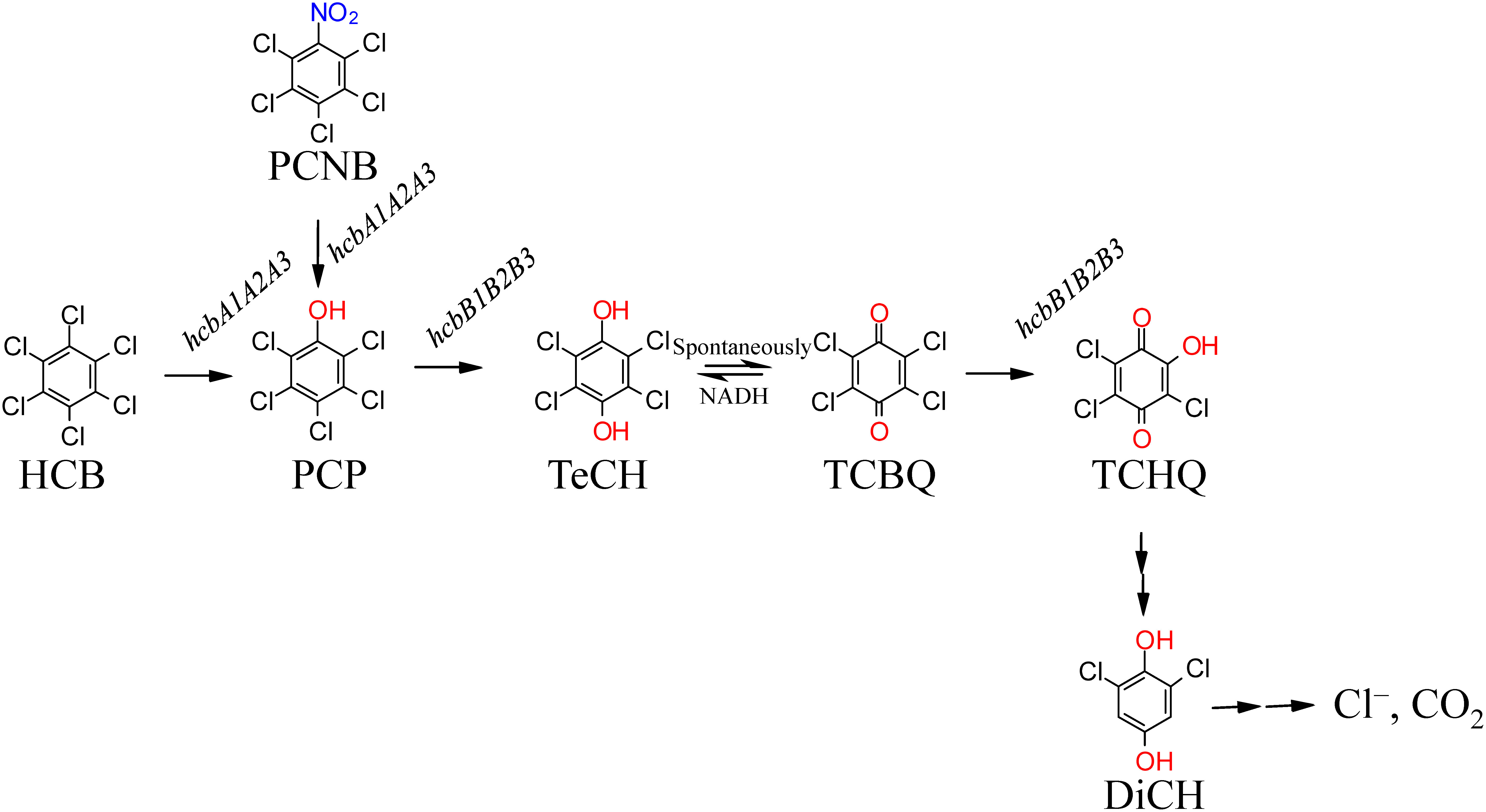 Mechanisms of aerobic dechlorination of hexachlorobenzene and pentachlorophenol by <i>Nocardioides</i> sp. PD653.