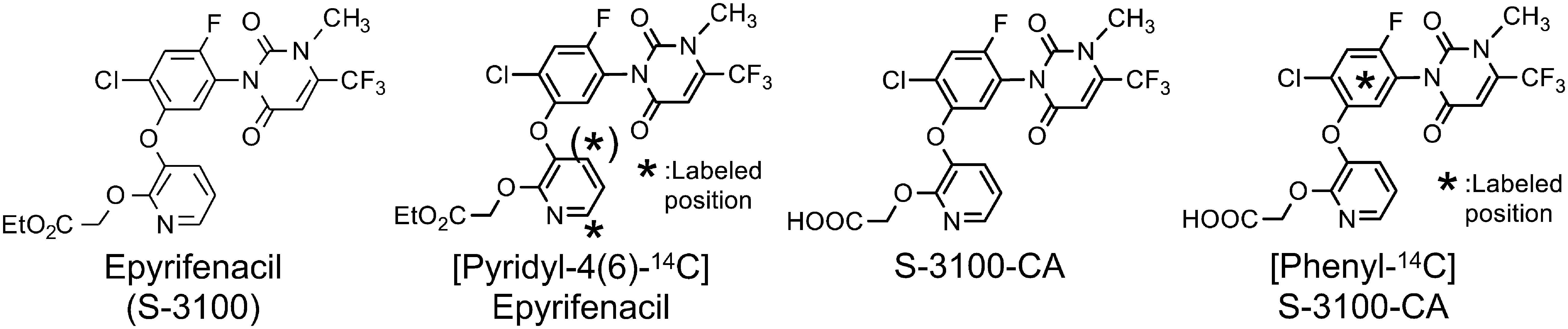 Comparative hepatotoxicity of a herbicide, epyrifenacil, in humans and rodents by comparing the dynamics and kinetics of its causal metabolite.