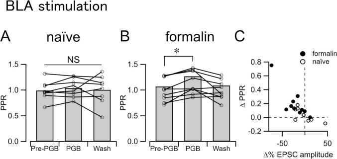 Input-dependent synaptic suppression by pregabalin in the central amygdala in male mice with inflammatory pain