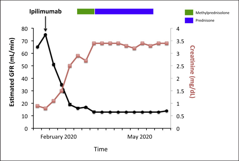 IgA Nephropathy Secondary to Ipilimumab Use.