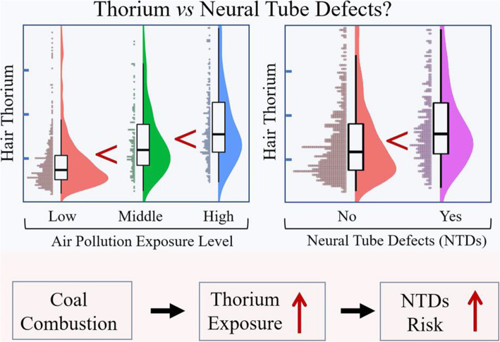 Thorium and fetal neural tube defects: an epidemiological evidence from large case-control study.