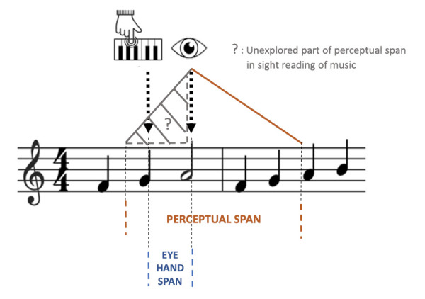 Review on Eye-Hand Span in Sight-Reading of Music.