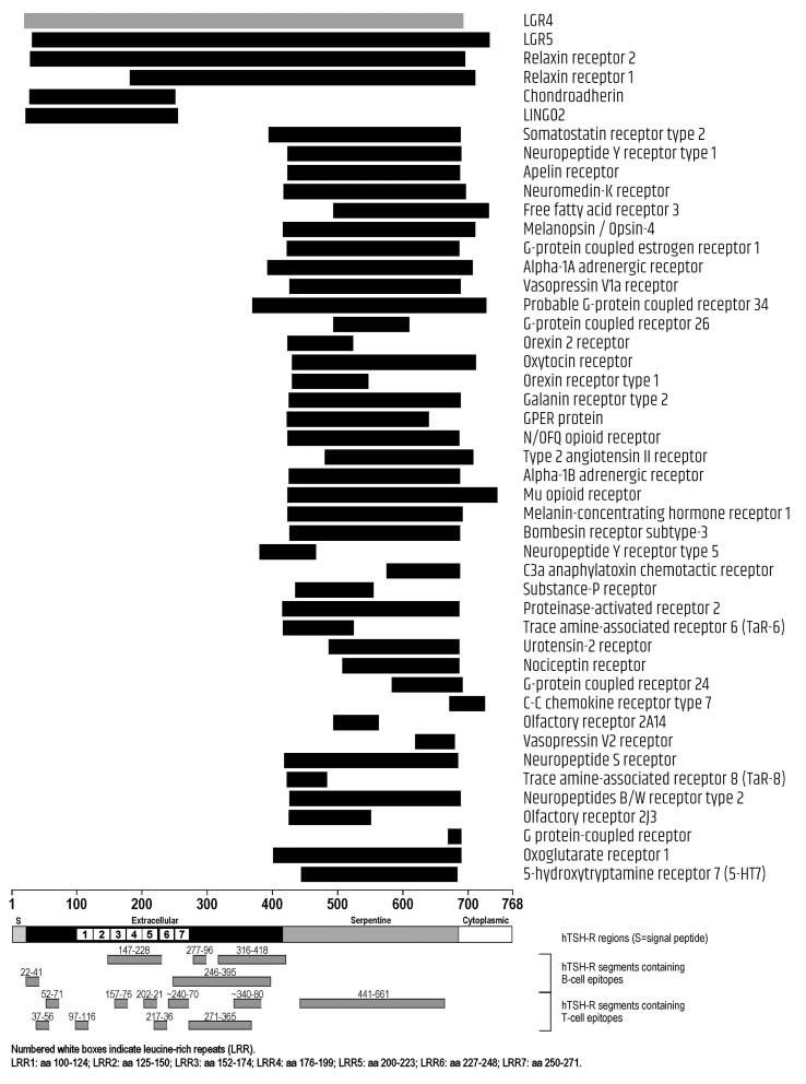 Amino acid sequence homology between thyroid autoantigens and central nervous system proteins: Implications for the steroid-responsive encephalopathy associated with autoimmune thyroiditis