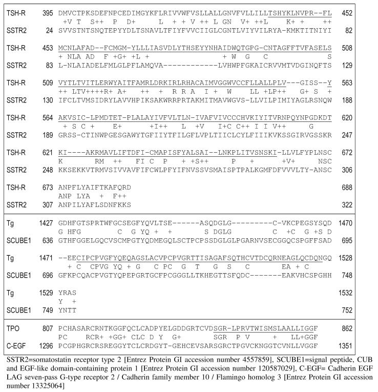 Amino acid sequence homology between thyroid autoantigens and central nervous system proteins: Implications for the steroid-responsive encephalopathy associated with autoimmune thyroiditis