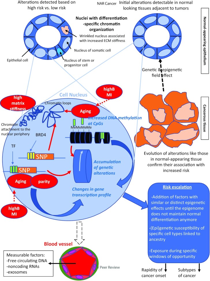 Can the epigenome contribute to risk stratification for cancer onset?