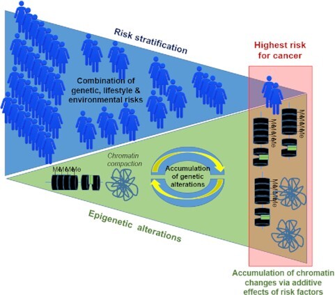 Can the epigenome contribute to risk stratification for cancer onset?