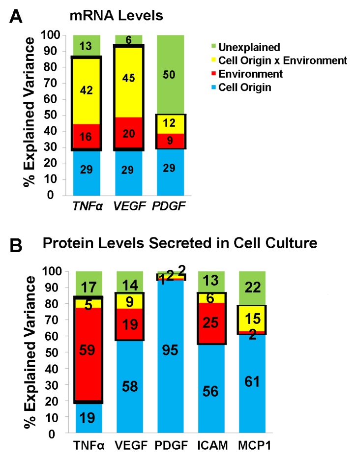 Anti-tumor necrosis factor alpha reduces the proangiogenic effects of activated macrophages derived from patients with age-related macular degeneration.