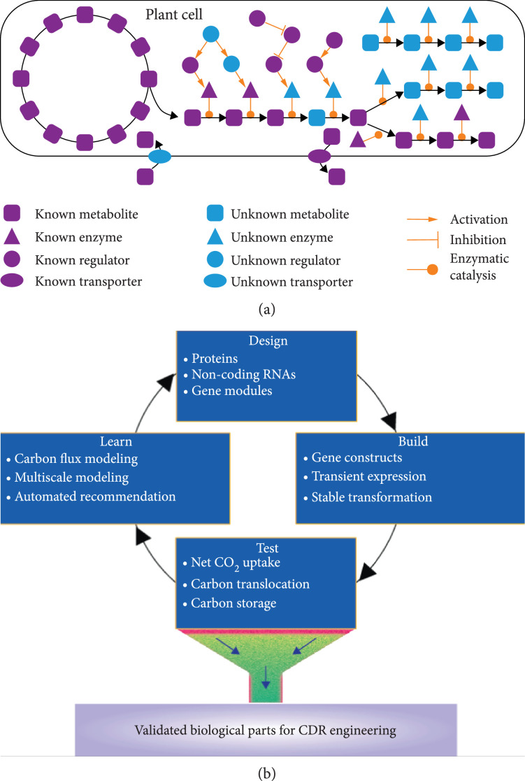 Biological Parts for Plant Biodesign to Enhance Land-Based Carbon Dioxide Removal.