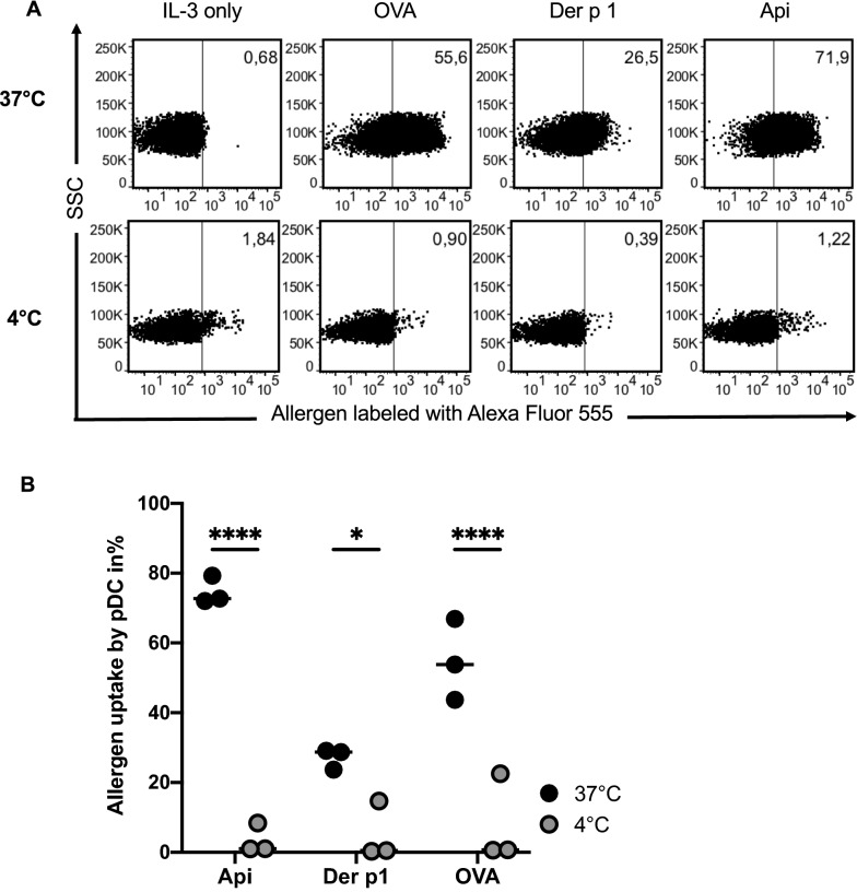 Differential uptake of three clinically relevant allergens by human plasmacytoid dendritic cells.