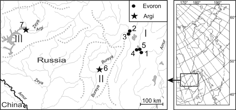 Intraspecies multiple chromosomal variations including rare tandem fusion in the Russian Far Eastern endemic evoron vole <i>Alexandromysevoronensis</i> (Rodentia, Arvicolinae).