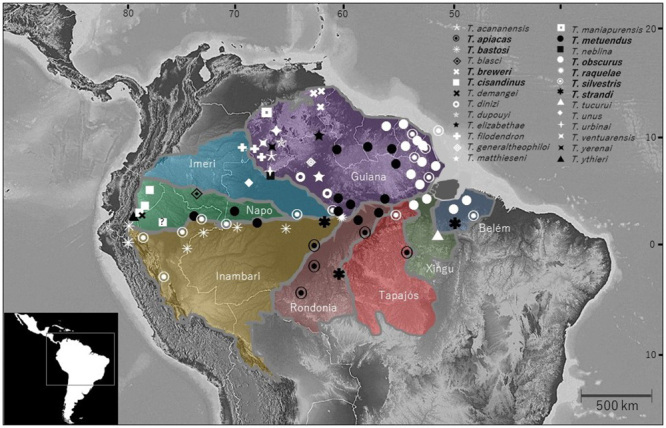 Amazonian scorpions and scorpionism: integrating toxinological, clinical, and phylogenetic data to combat a human health crisis in the world's most diverse rainfores.