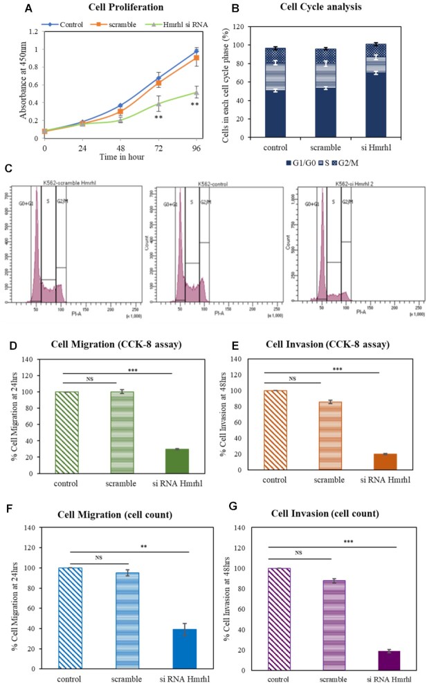 LncRNA Hmrhl regulates expression of cancer related genes in chronic myelogenous leukemia through chromatin association.