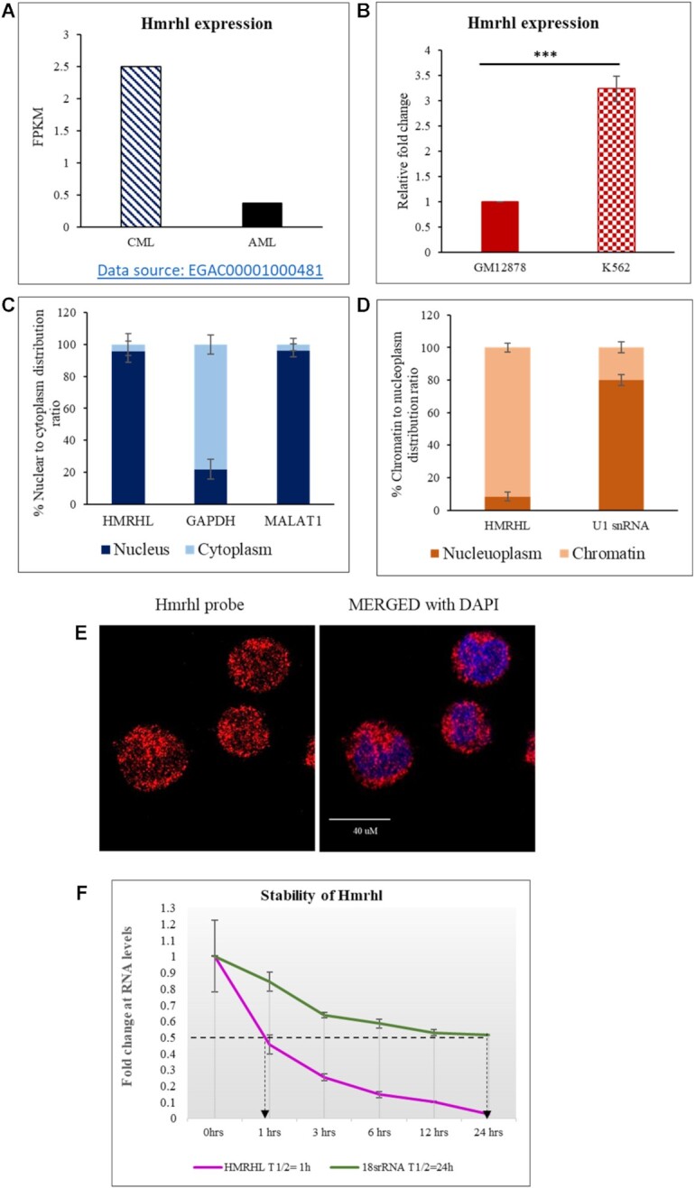 LncRNA Hmrhl regulates expression of cancer related genes in chronic myelogenous leukemia through chromatin association.