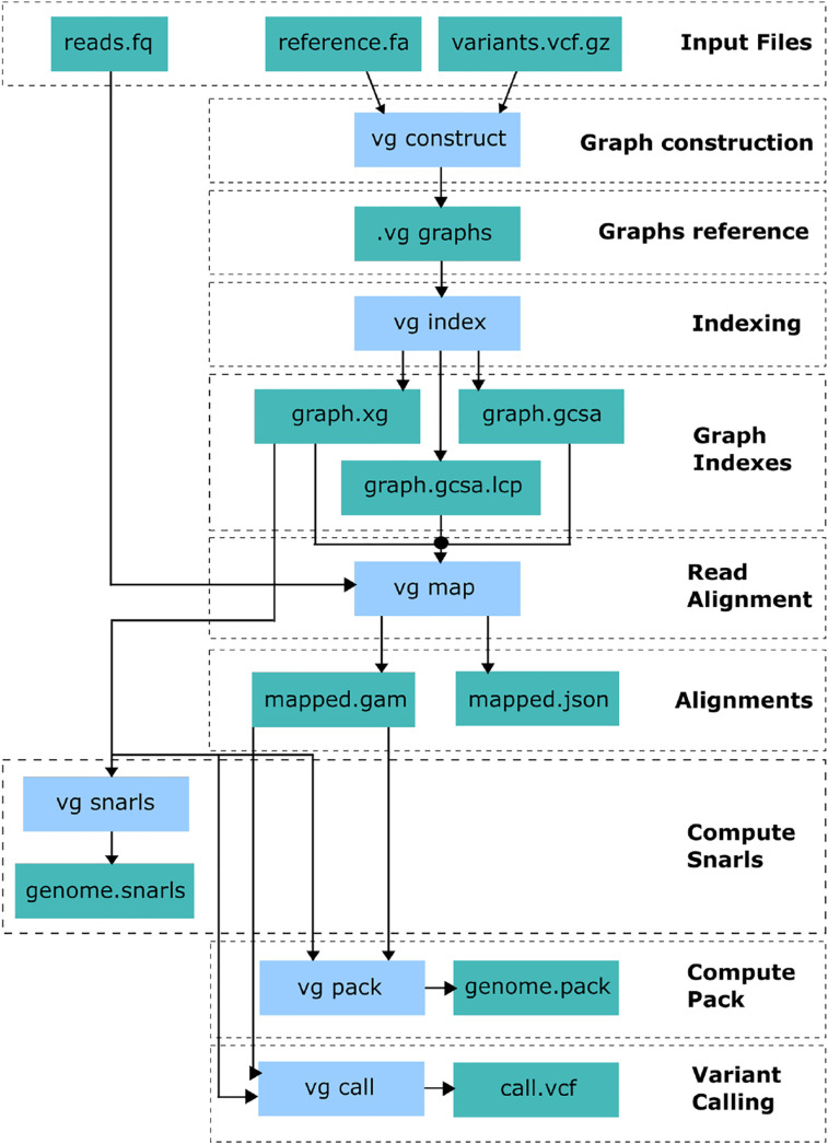 Fast alignment of reads to a variation graph with application to SNP detection.