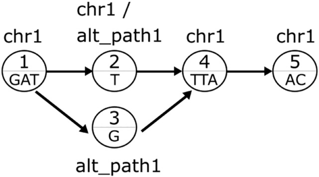 Fast alignment of reads to a variation graph with application to SNP detection.