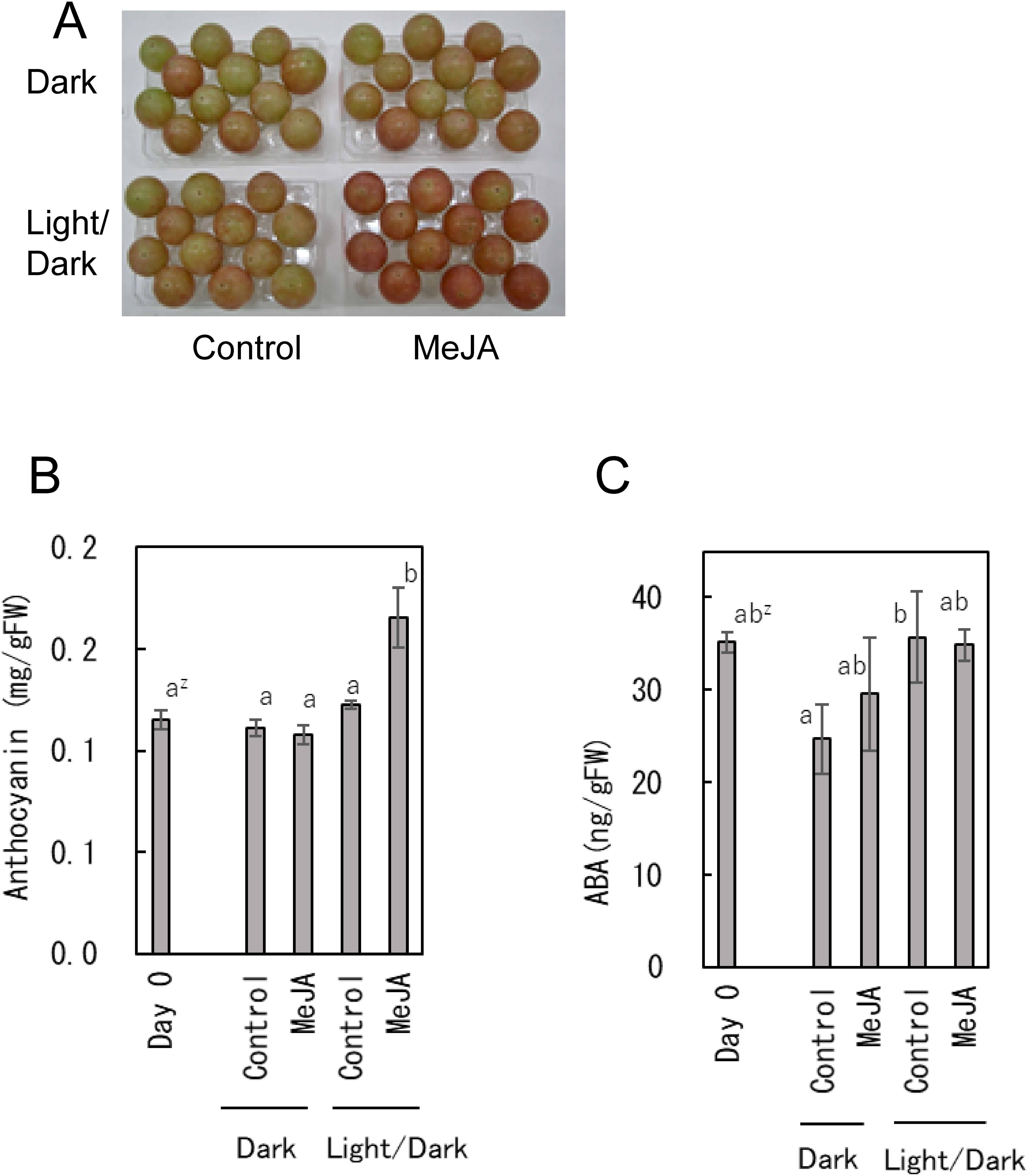 Effects of exogenous methyl jasmonate and light condition on grape berry coloration and endogenous abscisic acid content.