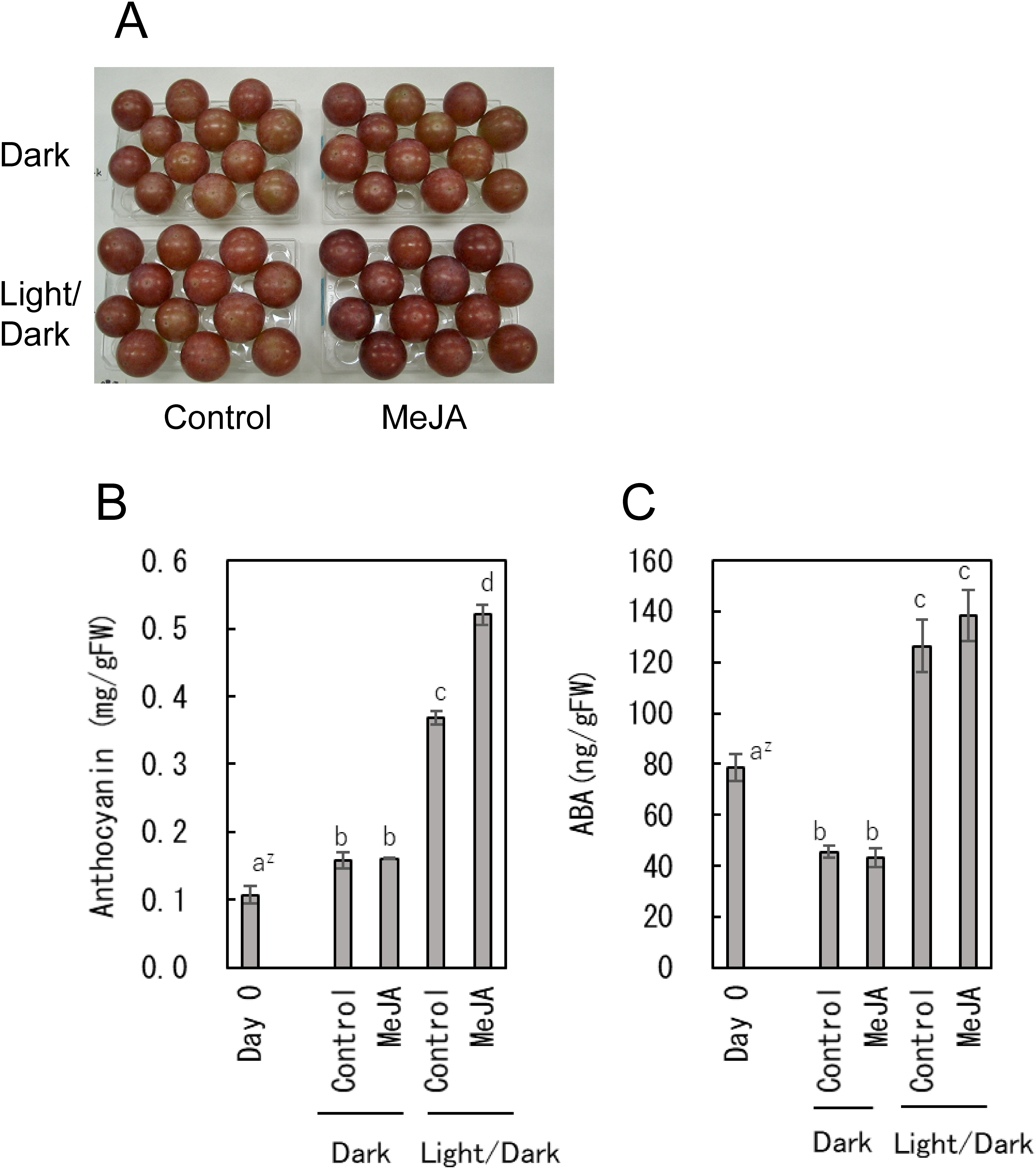 Effects of exogenous methyl jasmonate and light condition on grape berry coloration and endogenous abscisic acid content.