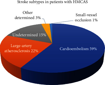 Implications of the Presence of Hyperdense Middle Cerebral Artery Sign in Determining the Subtypes of Stroke Etiology.