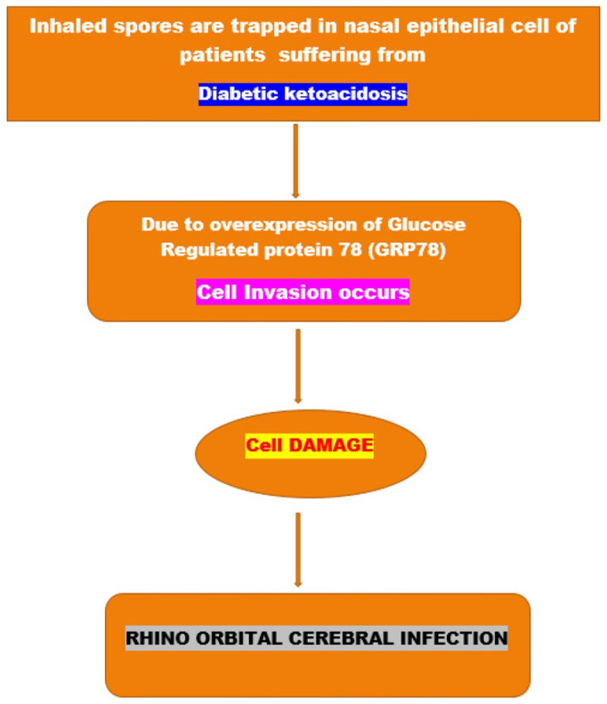 Awareness Toward Mucormycosis Attack for COVID Patients.