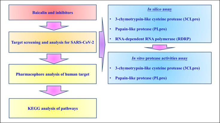 Study of Baicalin toward COVID-19 Treatment: In silico Target Analysis and in vitro Inhibitory Effects on SARS-CoV-2 Proteases.