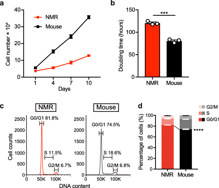 Isolation and characterization of neural stem/progenitor cells in the subventricular zone of the naked mole-rat brain.