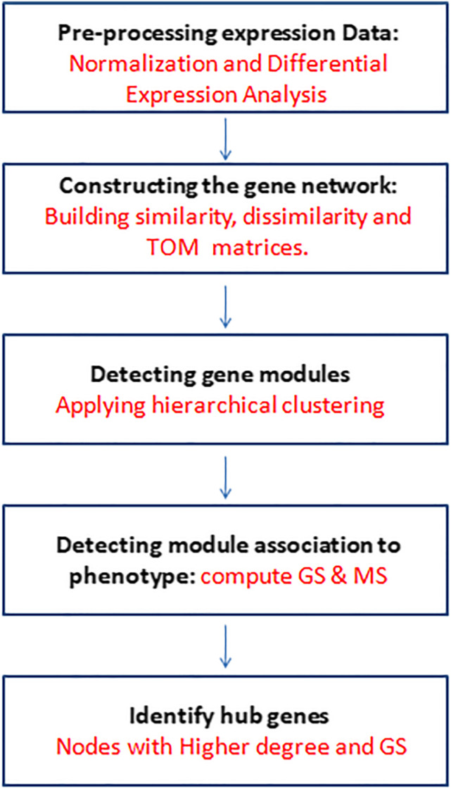 Modular network inference between miRNA-mRNA expression profiles using weighted co-expression network analysis.