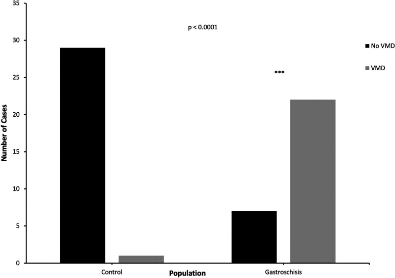Examining the Relationship Between Gastroschisis and Placental Fetal Vascular Malperfusion.