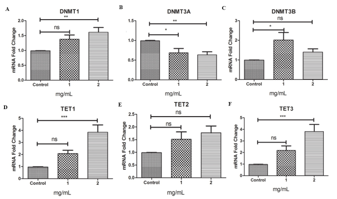 Epigenetic alterations associated with dexamethasone sodium phosphate through DNMT and TET in RPE cells.