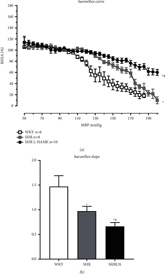 Sympathetic Nerve Activity and Baroreflex are Strongly Altered in a Context of Severe Hypertension Using the Spontaneously Hypertensive Rat Model Associated with Chronic Reduction of Nitric Oxide.