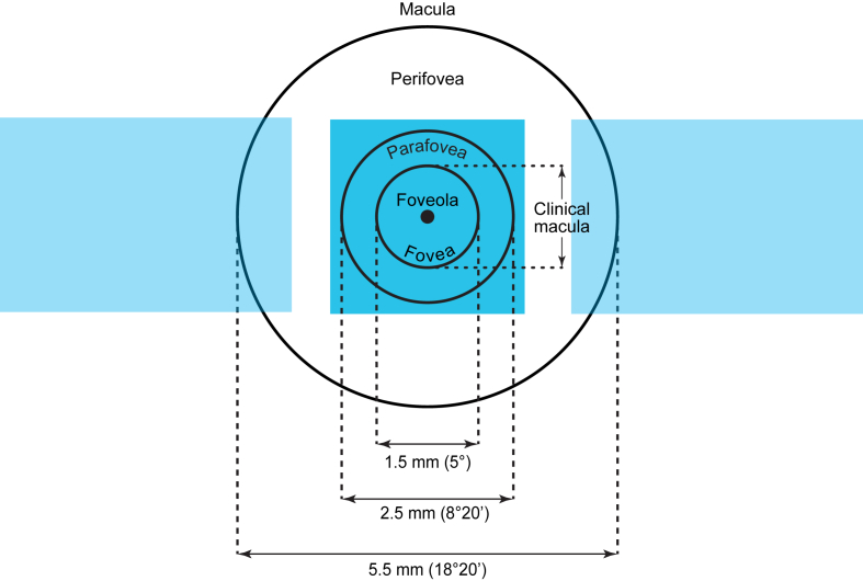 Spatial sensitivity of human circadian response: Melatonin suppression from on-axis and off-axis light exposures