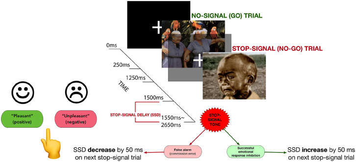 Validation of an emotional stop-signal task to probe individual differences in emotional response inhibition: Relationships with positive and negative urgency.