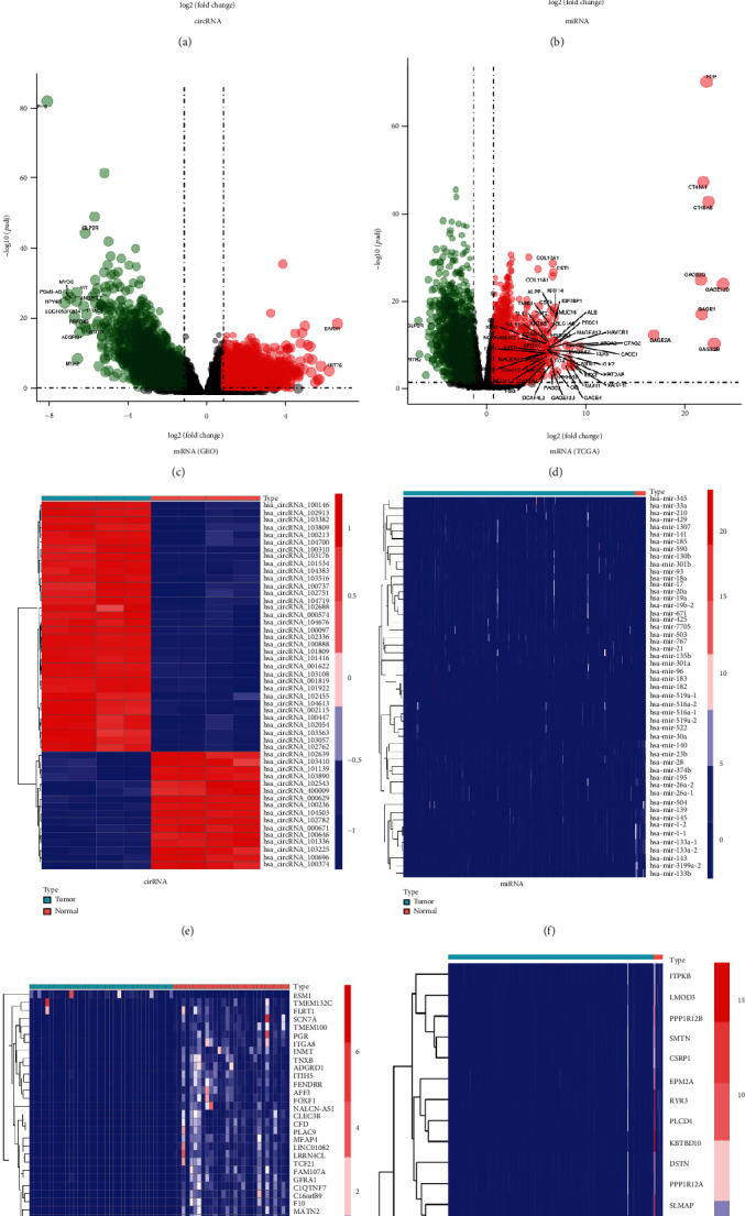 Identification of the circRNA-miRNA-mRNA Regulatory Network in Bladder Cancer by Bioinformatics Analysis.