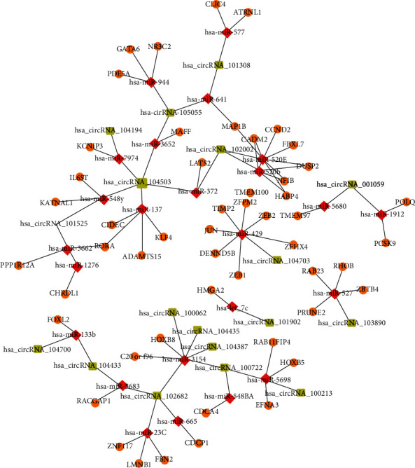 Identification of the circRNA-miRNA-mRNA Regulatory Network in Bladder Cancer by Bioinformatics Analysis.