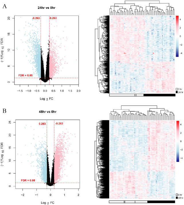 Screening of Important Factors in the Early Sepsis Stage Based on the Evaluation of ssGSEA Algorithm and ceRNA Regulatory Network.